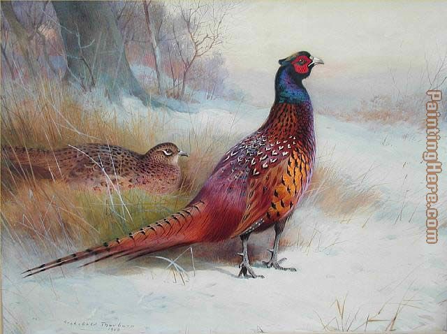 Old English Pheasant painting - Archibald Thorburn Old English Pheasant art painting